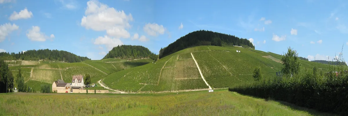 image-decoupe-laser-bourgogne-franche-comte.webp Image Découpe laser Bourgogne-Franche-Comté