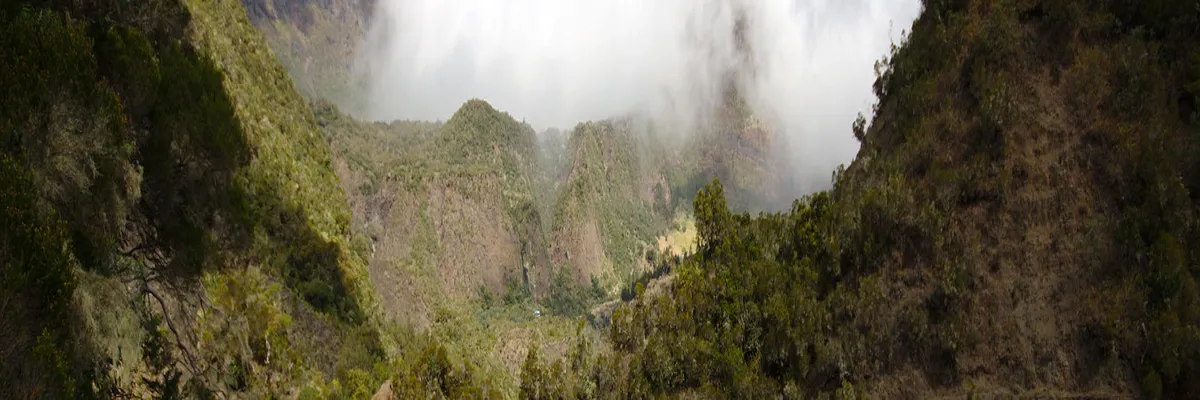 image-decoupe-laser-la-reunion.webp Image Découpe laser La Réunion