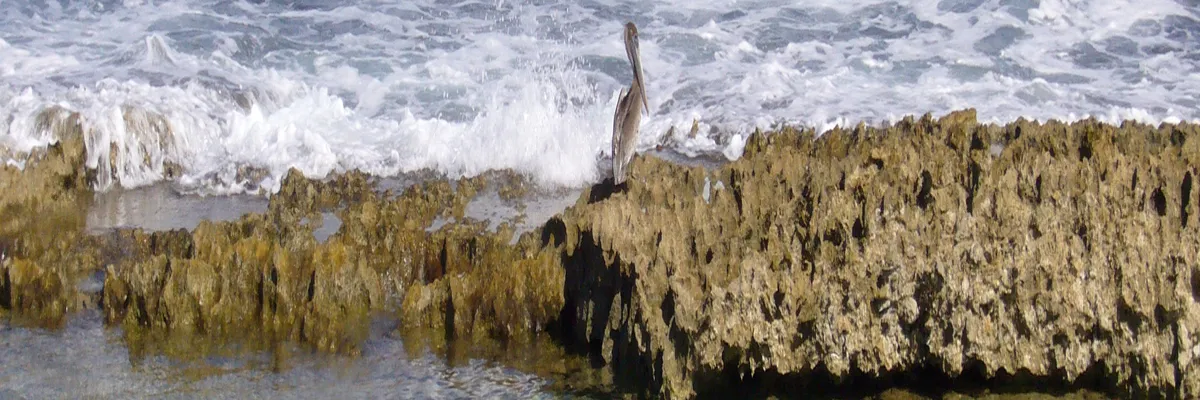 Image Découpe laser Le Moule