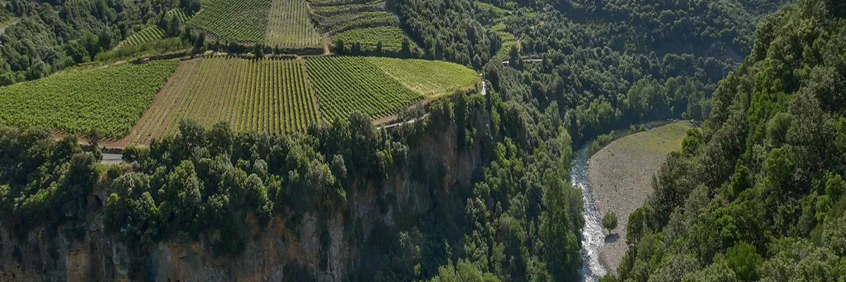 image-decoupe-laser-occitanie.webp Image Découpe laser Occitanie