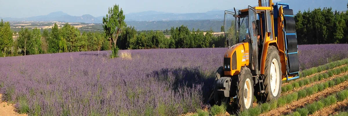 image-decoupe-laser-provence-alpes-cote-d-azur.webp Image Découpe laser Provence-Alpes-Côte d'Azur