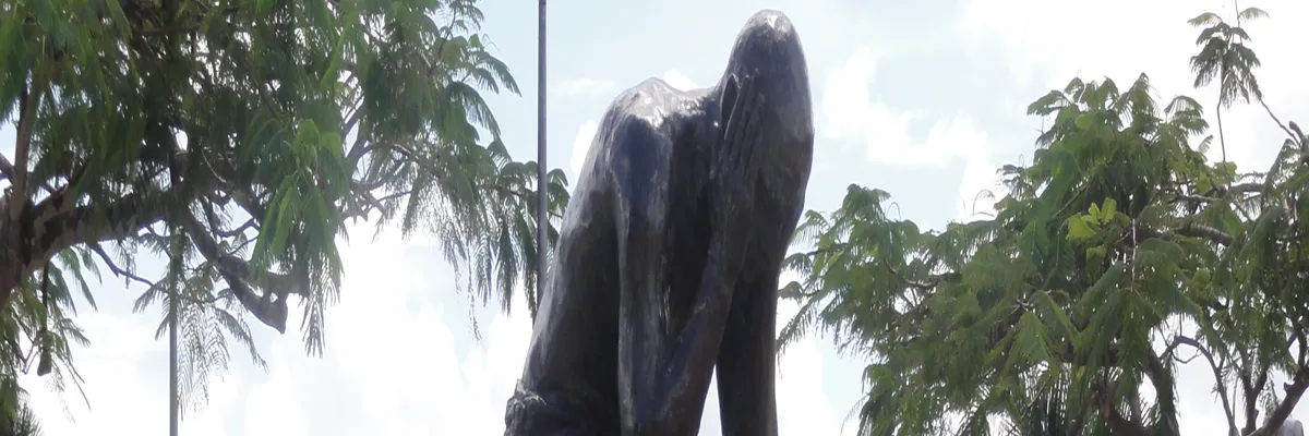 Image Découpe laser Saint-Laurent-du-Maroni