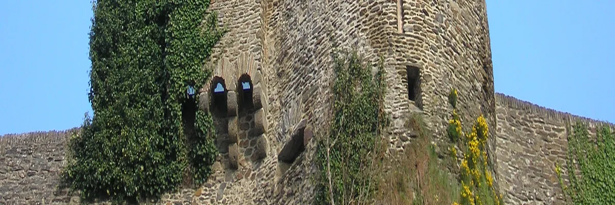 Image Découpe laser Saint-Lô